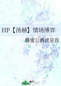 HP【汤赫】情场博弈